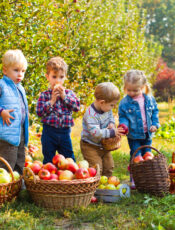 Apples, Learning & Family Fun: Easy Apple Activities for Kids in Dunlap, TN
