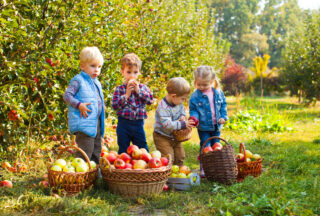 Apples, Learning & Family Fun: Easy Apple Activities for Kids in Dunlap, TN