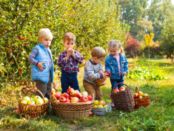 Apples, Learning & Family Fun: Easy Apple Activities for Kids in Dunlap, TN