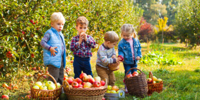 Apples, Learning & Family Fun: Easy Apple Activities for Kids in Dunlap, TN