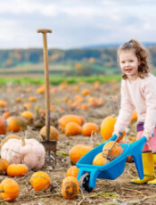 4 Easy Pumpkin Crafts for Toddlers (No Carving Required!)