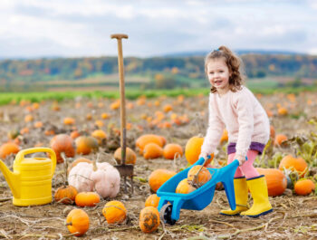 4 Easy Pumpkin Crafts for Toddlers (No Carving Required!)