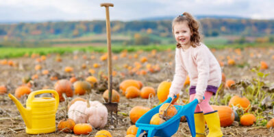 4 Easy Pumpkin Crafts for Toddlers (No Carving Required!)
