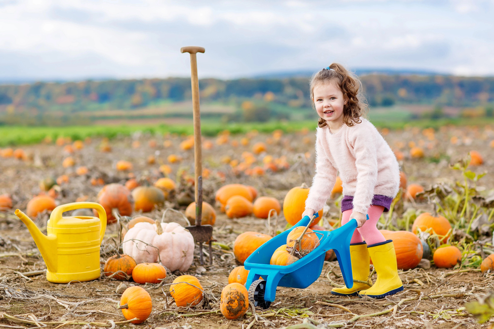 4 Easy Pumpkin Crafts for Toddlers (No Carving Required!)